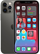 Apple iPhone 12 Pro Max at Nepal.mymobilemarket.net